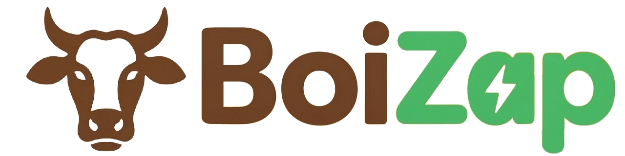 BoiZap Logo